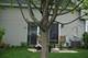 74 Marion, Streamwood, IL 60107