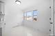 11101 S Ewing, Chicago, IL 60617