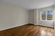 22 Park Unit 404, Park Ridge, IL 60068