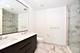 1000 S Michigan Unit 5402, Chicago, IL 60605