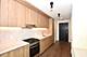 1000 S Michigan Unit 1711, Chicago, IL 60605