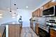 1301 W Touhy Unit 309, Park Ridge, IL 60068