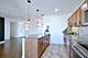 1301 W Touhy Unit 309, Park Ridge, IL 60068