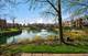 1040 Arbor, Northfield, IL 60093