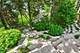 39W835 Goldenrod, St. Charles, IL 60175