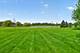 39W835 Goldenrod, St. Charles, IL 60175