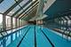 950 N Michigan Unit 3106, Chicago, IL 60611