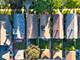 1843 Clinton, Berwyn, IL 60402