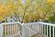 215 Half Moon, Aurora, IL 60504