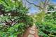 1235 Maple, Evanston, IL 60202
