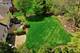 1206 Arbor, Lemont, IL 60439