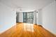 111 W Maple Unit 1807, Chicago, IL 60610