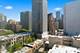 21 W Goethe Unit 9J, Chicago, IL 60610