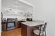 21 W Goethe Unit 9J, Chicago, IL 60610
