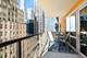 160 E Illinois Unit 1002, Chicago, IL 60611