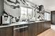 10728 Chaucer, Willow Springs, IL 60480