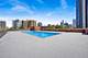 501 N Clinton Unit 3203, Chicago, IL 60654