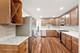 431 W Millers, Des Plaines, IL 60016