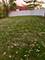 831 N Yale, Villa Park, IL 60181