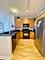1841 S Calumet Unit 1809, Chicago, IL 60616