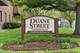 385 Duane Unit 304, Glen Ellyn, IL 60137