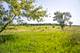 2642 Camelback, Pingree Grove, IL 60140