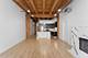 1133 S Wabash Unit 303, Chicago, IL 60605