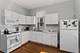 1033 W Wellington, Chicago, IL 60657