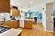 24851 Michele, Plainfield, IL 60544