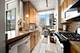 1720 S Michigan Unit 401, Chicago, IL 60616