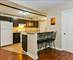 419 E 46th, Chicago, IL 60653