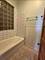 419 E 46th, Chicago, IL 60653