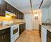 419 E 46th, Chicago, IL 60653