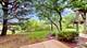 2917 Kentshire Unit 2917, Naperville, IL 60564