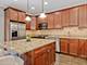 1192 Clarence Unit 2, Oak Park, IL 60304