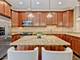 1192 Clarence Unit 2, Oak Park, IL 60304