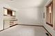 11229 Cameron Unit 11229, Orland Park, IL 60467