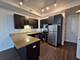 1464 S Michigan Unit 1608, Chicago, IL 60605