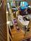 6620 Pond View, Tinley Park, IL 60477