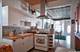 1831 S Laflin Unit 1, Chicago, IL 60608