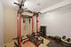 401 Cotoneaster, Oswego, IL 60543