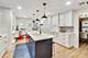 1314 Tyrell, Park Ridge, IL 60068