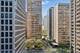 253 E Delaware Unit 11F, Chicago, IL 60611