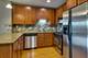 828 W Grace Unit 502, Chicago, IL 60613