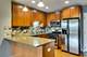 828 W Grace Unit 502, Chicago, IL 60613