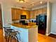 1841 S Calumet Unit 1403, Chicago, IL 60616