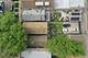 2736 S Kildare, Chicago, IL 60623