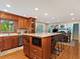 1385 Ginger, Naperville, IL 60565