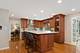 1385 Ginger, Naperville, IL 60565
