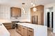 10226 S 81st, Palos Hills, IL 60465